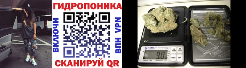 Бошки Шишки White Widow  Купить где  Назрань 